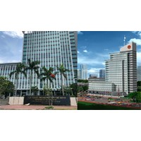 Tiêu chuẩn đối với Cục trưởng Cục Thuế Thành phố Hồ Chí Minh