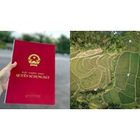 Người dân cần phải làm gì khi sổ đỏ cấp sai vị trí đất?