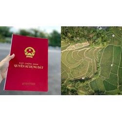 Người dân cần phải làm gì khi sổ đỏ cấp sai vị trí đất?