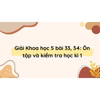 Giải Khoa học 5 bài 33, 34: Ôn tập và kiểm tra học kì 1