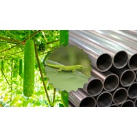 Nghị luận về câu tục ngữ ở bầu thì tròn, ở ống thì dài siêu hay