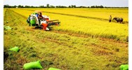 Sửa đổi quy định về hạng đất tính thuế sử dụng đất nông nghiệp