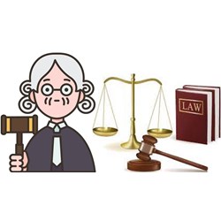 Luật sư móc nối với thư ký tòa làm trái quy định bị tước chứng chỉ?