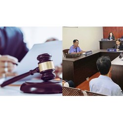 Từng bị phạt hành chính được làm người bảo vệ quyền cho nguyên đơn?