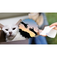 Nghị luận xã hội về sự nhường nhịn chọn lọc hay nhất