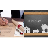 Điều kiện, hồ sơ, thủ tục khai nhận thừa kế thế vị năm là gì?