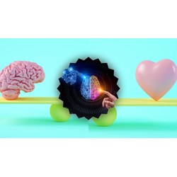 Chúng ta hiểu biết chân lý không những do lý trí mà còn do trái tim