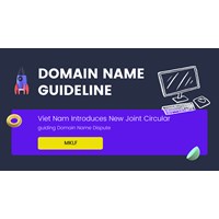 Viet Nam Introduces Infringing Domain Name Dispute Guidelines