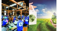 Quỹ tái chế chất thải thuộc Sở Tài nguyên hoạt đồng vì lợi nhuận?