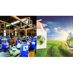 Quỹ tái chế chất thải thuộc Sở Tài nguyên hoạt đồng vì lợi nhuận?