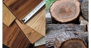 Hướng dẫn phân cấp độ bền của gỗ dùng trong các điều kiện sử dụng