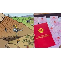 Thủ tục giải quyết tranh chấp quyền sử dụng đất hộ gia đình?