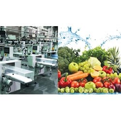 Mục đích thẩm định đánh giá định kỳ điều kiện an toàn thực phẩm