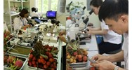 Mục đích lấy mẫu chuyến hàng trong kiểm dịch thực vật để làm gì?