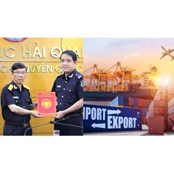 Cơ cấu tổ chức Phòng phân loại hàng hóa và Biểu thuế thuộc Cục Thuế xuất nhập khẩu