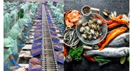Quy định về cơ sở kinh doanh thực phẩm nông lâm thủy sản là gì?