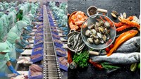 Quy định về cơ sở kinh doanh thực phẩm nông lâm thủy sản là gì?