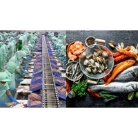Quy định về cơ sở kinh doanh thực phẩm nông lâm thủy sản là gì?