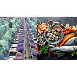 Quy định về cơ sở kinh doanh thực phẩm nông lâm thủy sản là gì?