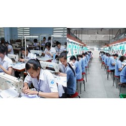 Người đi xuất khẩu lao động có phải đặt cọc cho công ty hay không