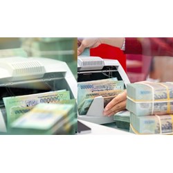 Những trường hợp tổ chức tín dụng được tổ chức lại
