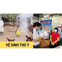 Nội dung chương trình giám sát vệ sinh thú y và an toàn thực phẩm đối với mật ong