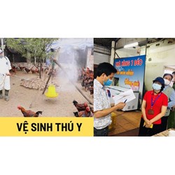 Nội dung chương trình giám sát vệ sinh thú y và an toàn thực phẩm đối với mật ong