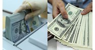 Nguyên tắc thực hiện quản lý dự trữ ngoại hối chính thức