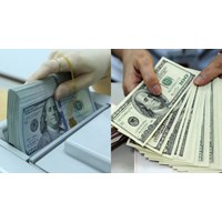 Nguyên tắc thực hiện quản lý dự trữ ngoại hối chính thức