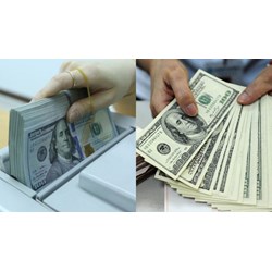 Nguyên tắc thực hiện quản lý dự trữ ngoại hối chính thức