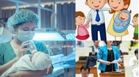Viên chức khi sinh con thứ ba có bị thôi việc, chậm nâng lương?