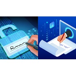 Chứng thư số trong giao dịch điện tử do ai cấp ?