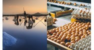 Hạn ngạch thuế quan nhập khẩu muối, trứng gia cầm năm 2024