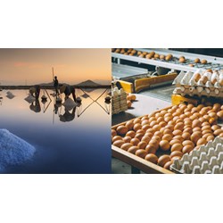 Hạn ngạch thuế quan nhập khẩu muối, trứng gia cầm năm 2024