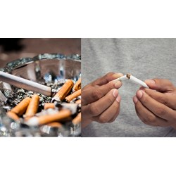 Hạn ngạch thuế quan nhập khẩu thuốc lá nguyên liệu năm 2024