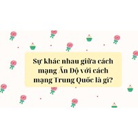 Sự khác nhau giữa cách mạng Ấn Độ với cách mạng Trung Quốc là gì?