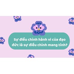 Sự điều chỉnh hành vi của đạo đức là sự điều chỉnh mang tính?