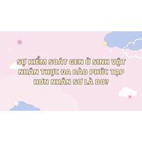 Sự kiểm soát gen ở sinh vật nhân thực đa bào phức tạp hơn nhân sơ là do?