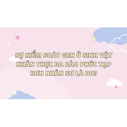 Sự kiểm soát gen ở sinh vật nhân thực đa bào phức tạp hơn nhân sơ là do?