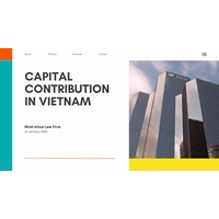 Capital Contribution in Vietnam: A Guide for Foreign Investors