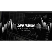 The Gold Maze: Guide to Obtain a Gold Trading License in Vietnam