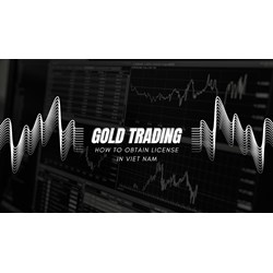 The Gold Maze: Guide to Obtain a Gold Trading License in Vietnam