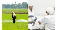 Nơi lưu chứa bao gói thuốc bảo vệ thực vật sau dùng xây dựng khi nào?