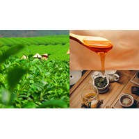 Đăng ký nhãn hiệu cho các sản phẩm OCOP tại Hà Giang như thế nào?