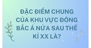 Đặc điểm chung của khu vực Đông Bắc Á nửa sau thế kỉ XX là?