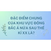 Đặc điểm chung của khu vực Đông Bắc Á nửa sau thế kỉ XX là?