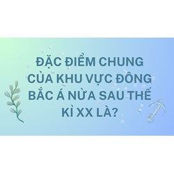 Đặc điểm chung của khu vực Đông Bắc Á nửa sau thế kỉ XX là?