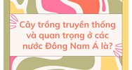 Cây trồng truyền thống và quan trọng ở các nước Đông Nam Á là?