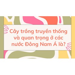 Cây trồng truyền thống và quan trọng ở các nước Đông Nam Á là?