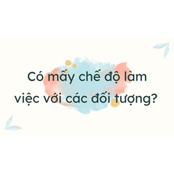 Có mấy chế độ làm việc với các đối tượng? Tin học lớp 12